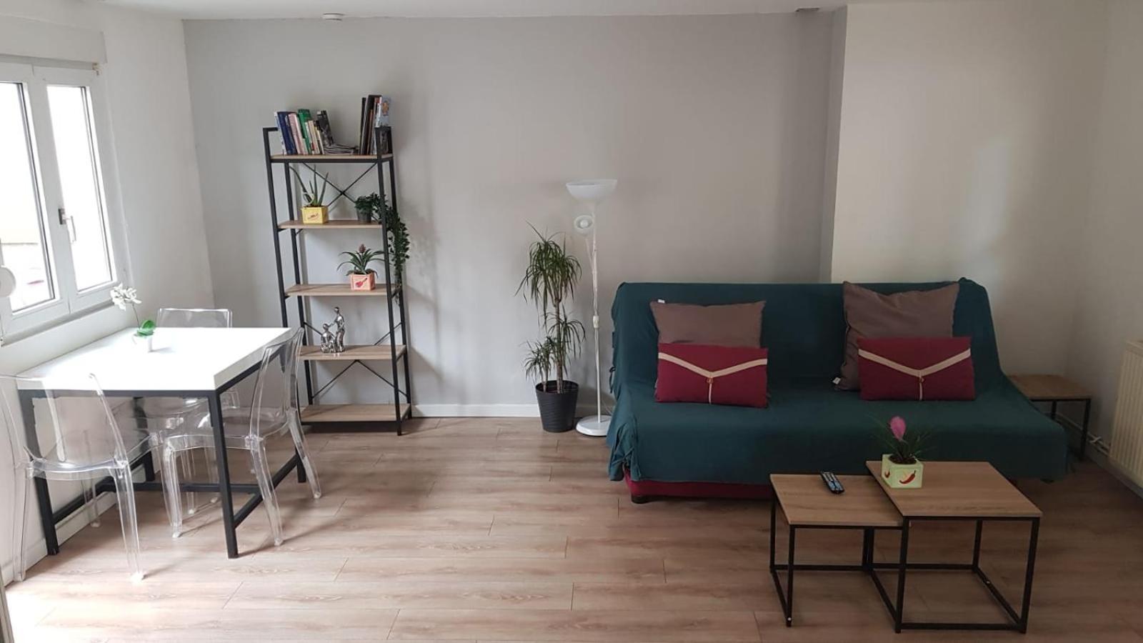 May Lovers Cosy Appart + Terrasse Near City Center Στρασβούργο Εξωτερικό φωτογραφία
